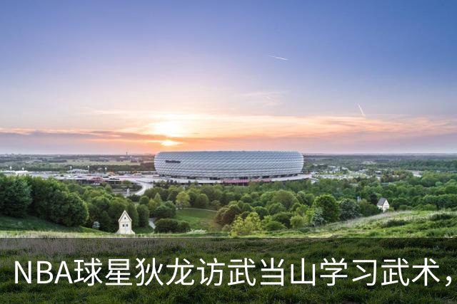 NBA球星狄龙访武当山学习武术，网友称其谦逊有礼